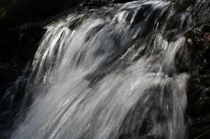 2007_03_10