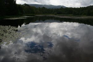 IMG_8766