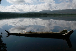 IMG_9018
