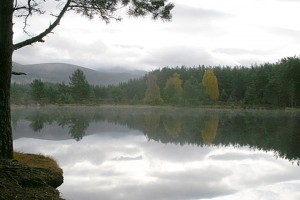 2007-sept-29th