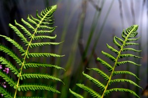 IMG_0053-edit1