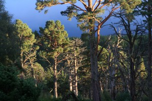 IMG_0438_edit