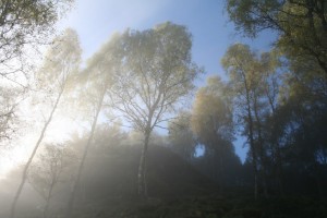 IMG_0599