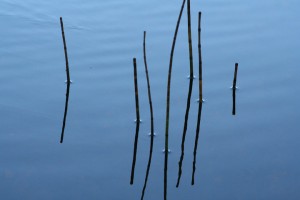 IMG_1840_edit