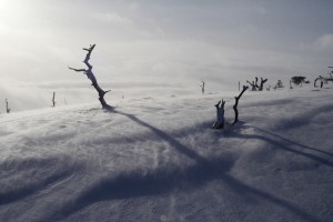 IMG_3062_1