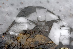 IMG_3160_compressed