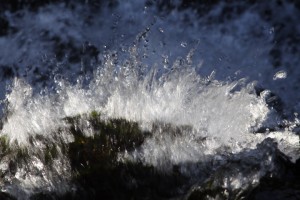 IMG_3817