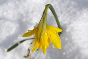 IMG_5031