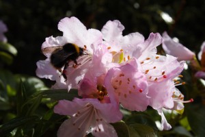 IMG_5731