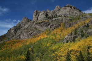 IMG_0528