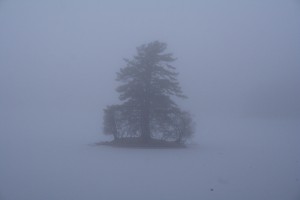 20090114_79401