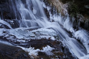 IMG_10062_original