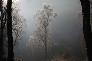 IMG_9911