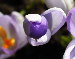 20090228_049