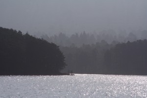 20090320_266