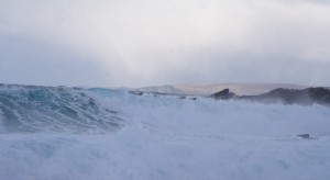 Birsay-crop