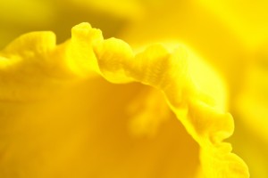20090401_417