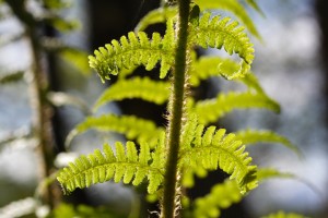 20090514_007