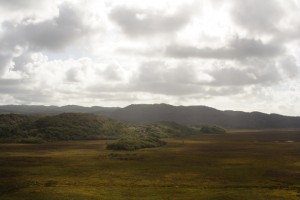 20090909_097