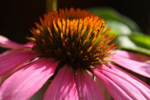 20090910_050