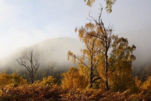 20091017_021