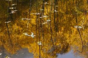 20091017_113