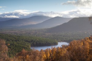 20091029_109