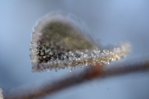 20091212_012