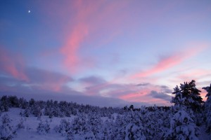 20091223_056
