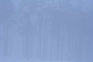 20100109_0331