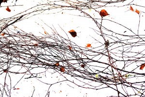 20100118_002_edit1