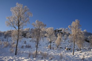 20091222_1001