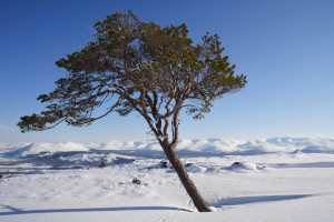 20100218_1101