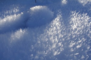 20100223_0231