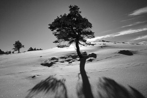 20100218_095-bw