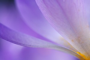 20100327_0771