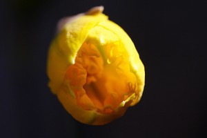 20100412_0221