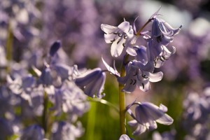 20100523_0411