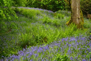 20100529_0271
