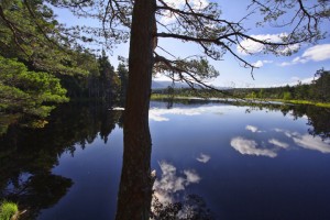 20100815_006_hdr_50pc1