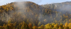 2009_10_17_craigellachie_mist1