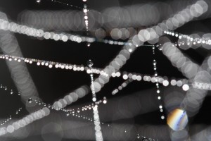20100930_0191