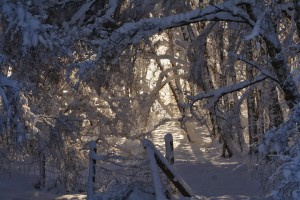 20091225_0251