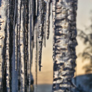 20091226_161_crop1