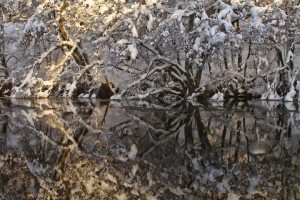20100110_071_40pchdr1