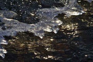 IMG_100071