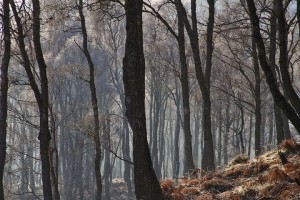 IMG_98581