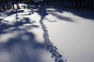 20100218_0891