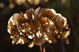 20110128_0351