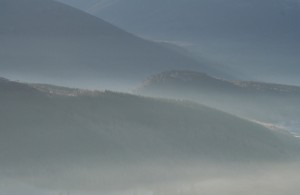 IMG_22731